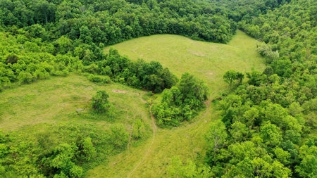 Large Acreage Farm For Sale in the MO Ozarks with Timber, Pasture - image 22