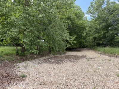 Large Acreage Farm For Sale in the MO Ozarks with Timber, Pasture - image 18