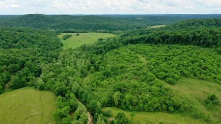 Large Acreage Farm For Sale in the MO Ozarks with Timber, Pasture - image 6