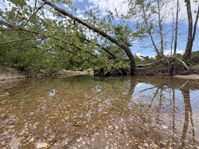 Large Acreage Farm For Sale in the MO Ozarks with Timber, Pasture - image 26