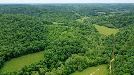 Large Acreage Farm For Sale in the MO Ozarks with Timber, Pasture - image 43