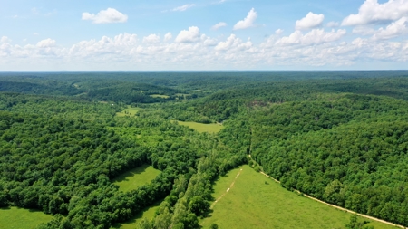 Large Acreage Farm For Sale in the MO Ozarks with Timber, Pasture - image 1