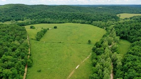 Large Acreage Farm For Sale in the MO Ozarks with Timber, Pasture - image 5