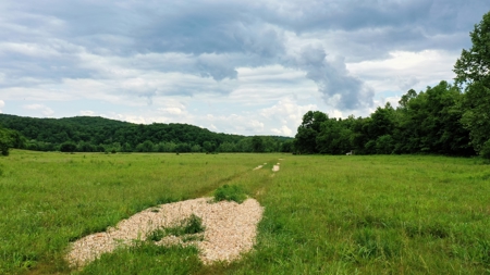 Large Acreage Farm For Sale in the MO Ozarks with Timber, Pasture - image 12