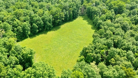 Large Acreage Farm For Sale in the MO Ozarks with Timber, Pasture - image 36