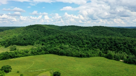 Large Acreage Farm For Sale in the MO Ozarks with Timber, Pasture - image 8