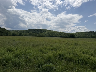 Large Acreage Farm For Sale in the MO Ozarks with Timber, Pasture - image 30