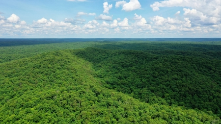 Large Acreage Farm For Sale in the MO Ozarks with Timber, Pasture - image 32