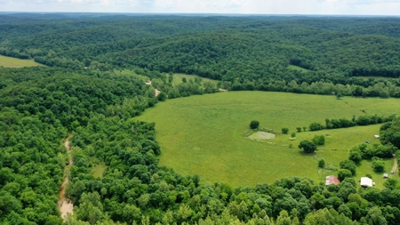 Large Acreage Farm For Sale in the MO Ozarks with Timber, Pasture - image 40
