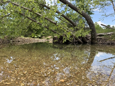 Large Acreage Farm For Sale in the MO Ozarks with Timber, Pasture - image 27