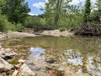 Large Acreage Farm For Sale in the MO Ozarks with Timber, Pasture - image 29