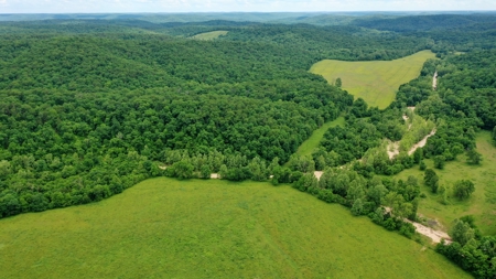 Large Acreage Farm For Sale in the MO Ozarks with Timber, Pasture - image 44