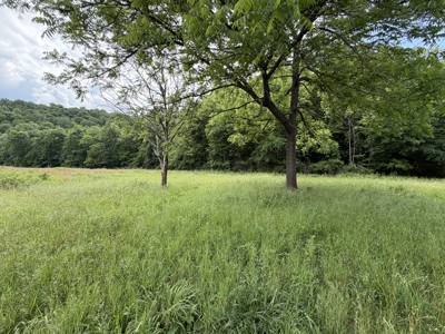 Large Acreage Farm For Sale in the MO Ozarks with Timber, Pasture - image 13