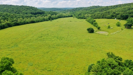 Large Acreage Farm For Sale in the MO Ozarks with Timber, Pasture - image 4
