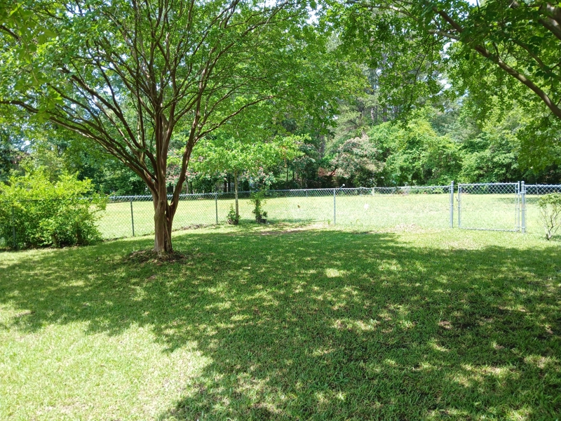 No Caption