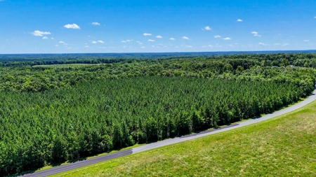 Own a Legacy: 256-Acre Buckshoal Farm Historic Estate - image 22