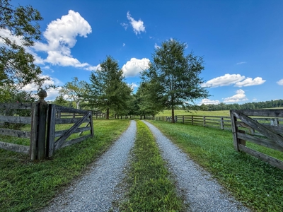 Own a Legacy: 256-Acre Buckshoal Farm Historic Estate - image 27