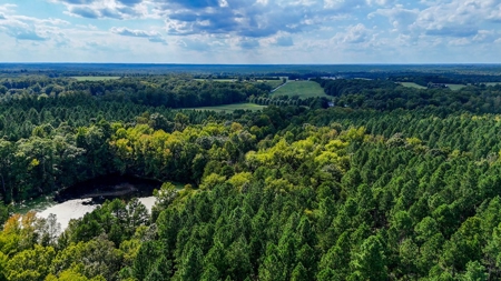 Own a Legacy: 256-Acre Buckshoal Farm Historic Estate - image 4
