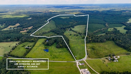 Own a Legacy: 256-Acre Buckshoal Farm Historic Estate - image 3