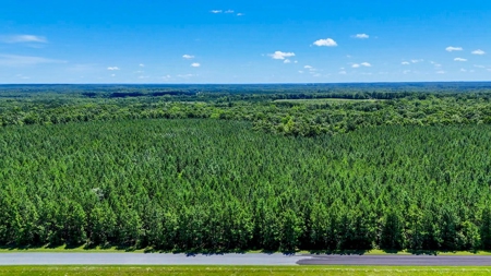 Own a Legacy: 256-Acre Buckshoal Farm Historic Estate - image 21