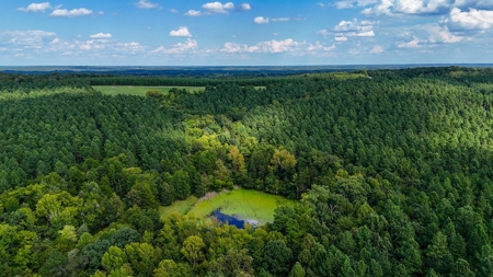 Own a Legacy: 256-Acre Buckshoal Farm Historic Estate - image 12