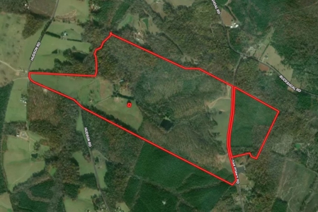 Own a Legacy: 256-Acre Buckshoal Farm Historic Estate - image 35