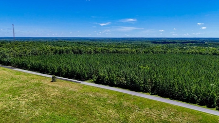 Own a Legacy: 256-Acre Buckshoal Farm Historic Estate - image 20