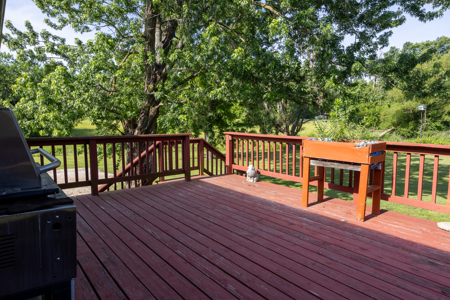 New On The Market!  Affordable & Immaculate Ranch Home - image 3