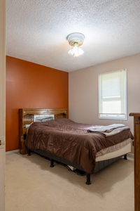 New On The Market!  Affordable & Immaculate Ranch Home - image 12