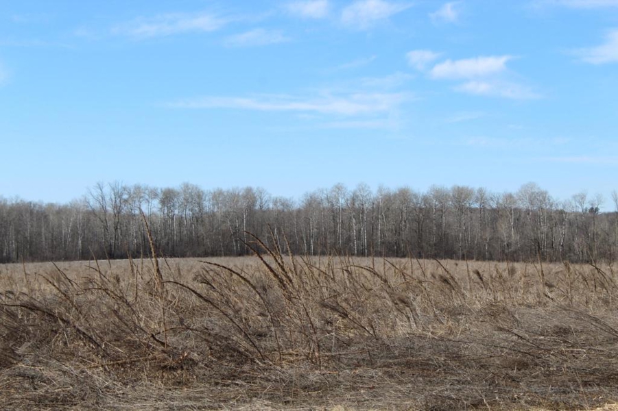 No Caption
