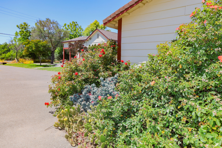 Solano County, Dixon, CA Acreage & Home for Sale - image 33
