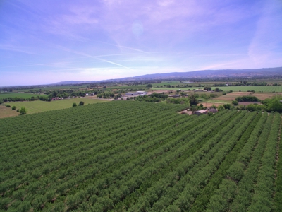 Solano County, Dixon, CA Acreage & Home for Sale - image 46