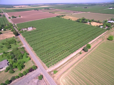 Solano County, Dixon, CA Acreage & Home for Sale - image 44