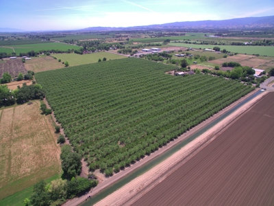 Solano County, Dixon, CA Acreage & Home for Sale - image 47