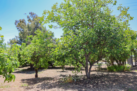 Solano County, Dixon, CA Acreage & Home for Sale - image 39