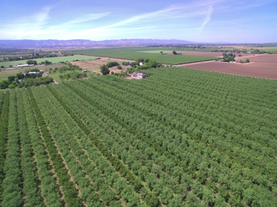 Solano County, Dixon, CA Acreage & Home for Sale - image 45