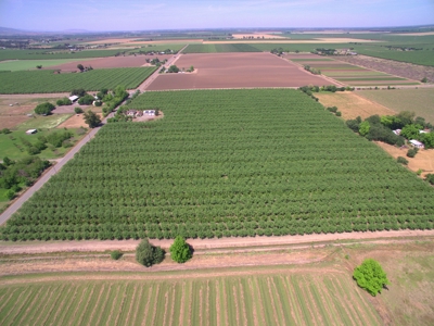 Solano County, Dixon, CA Acreage & Home for Sale - image 2
