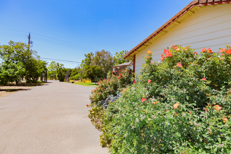 Solano County, Dixon, CA Acreage & Home for Sale - image 37
