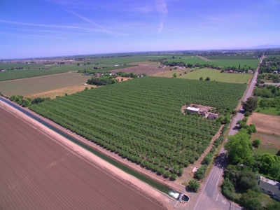 Solano County, Dixon, CA Acreage & Home for Sale - image 42
