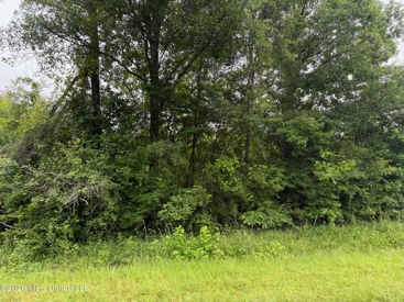 Listing 244