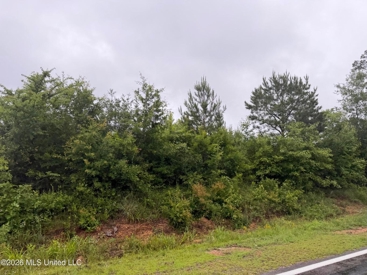 Listing 244