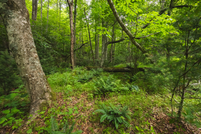 Listing 71