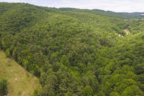 Land for Sale in Indian Valley VA