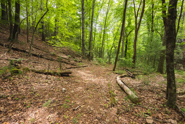 Land for Sale in Indian Valley VA