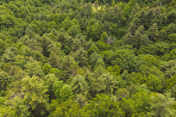 Land for Sale in Indian Valley VA