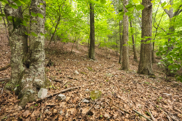 Land for Sale in Indian Valley VA