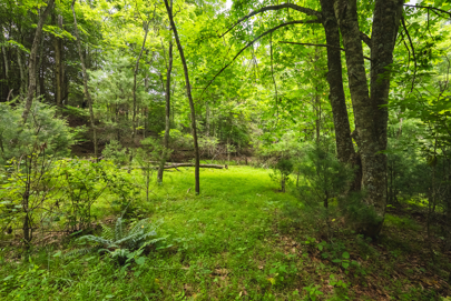 Listing 71