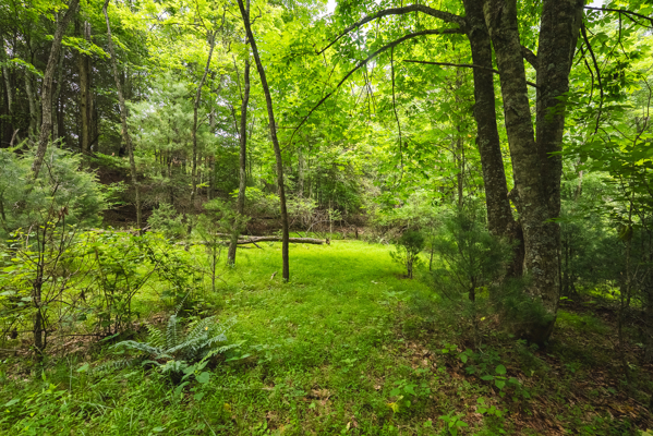 Land for Sale in Indian Valley VA