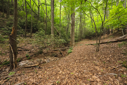 Listing 71