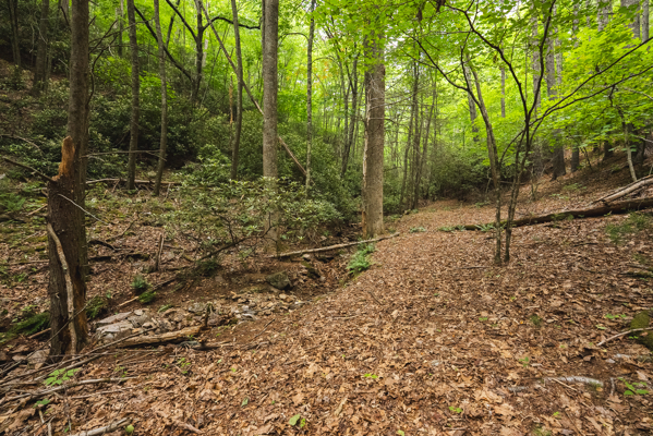 Land for Sale in Indian Valley VA